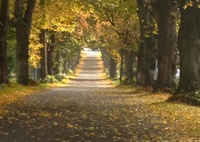 In Mit Grosser Terrasse By Interhome アパート Patzig